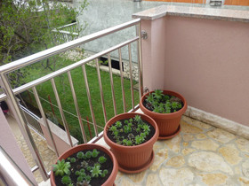 Apartments Boženka