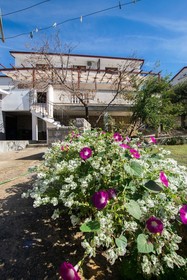 Apartments Simic