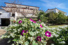 Apartments Simic