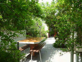 Apartment Tinka