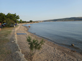 Asja