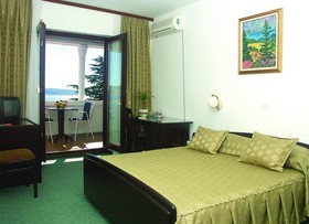 Hotel Vicko