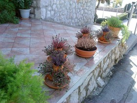 Hotel Vicko