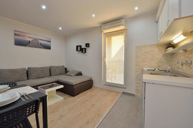 Apartment and Rooms Tomislav Spa Bracic