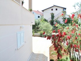 Apartments Ana