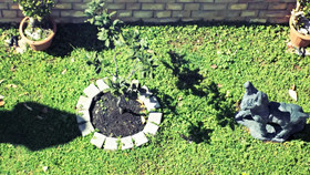 Apartments Ars Vivendi