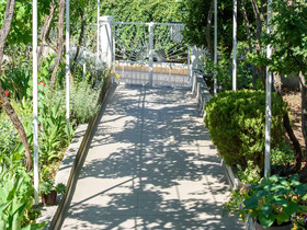 Apartments Beba