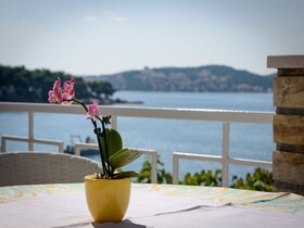 Apartments Mihaela - Sea View