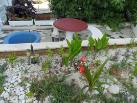 Apartments Nena