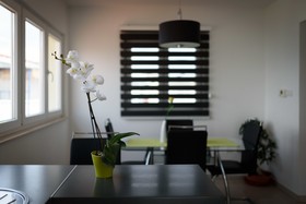 Apartments Salona