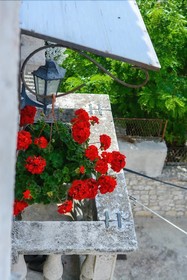 Guest House Exalto