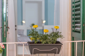 House Polus