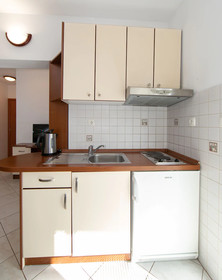 Apartments Biser