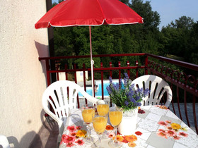 Apartments Neven