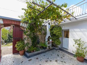 House Delfin
