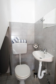 House Odiseja