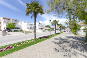 Apartment and Rooms Ante