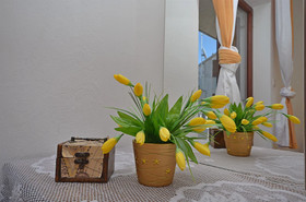 Apartment and Rooms Ante