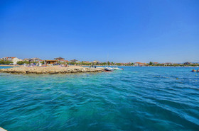 Apartment Branka