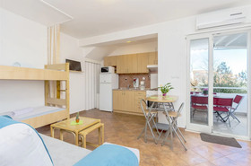 Apartment Branka