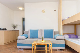 Apartment Branka