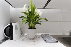 Apartments and Rooms Ante