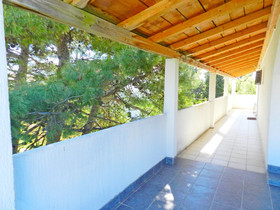 Apartments Branko
