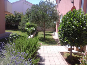 Apartments Danica