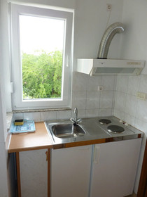 Apartments Duje