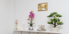 Apartments Ive