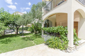 Apartments Jelica