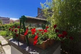 Apartments Konta