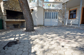 Apartments Miljenka