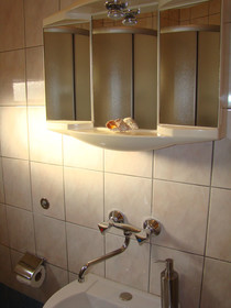 Apartments Ruza