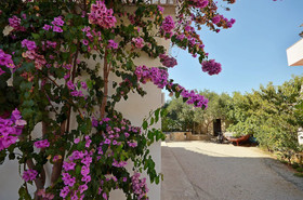 Apartments Sime