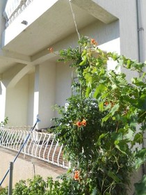 Apartments Stana S