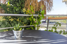 Apartments Sweet Garden