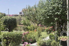 Apartments Zanze