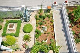 Apartments Zinka
