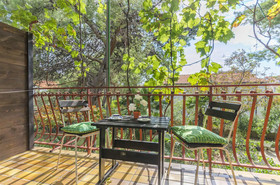 Rooms Summer Tree