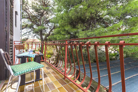 Rooms Summer Tree