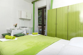 Rooms Summer Tree