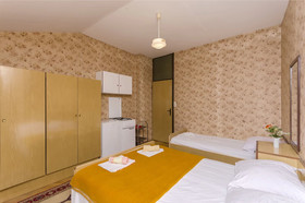Rooms Summer Tree