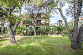 Rooms Summer Tree