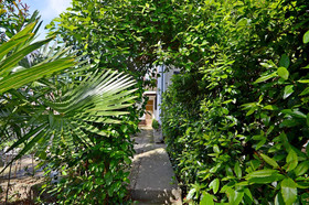 Rooms Summer Tree