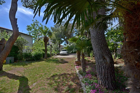 Rooms Summer Tree