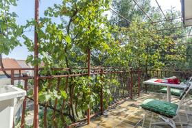 Rooms Summer Tree