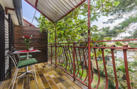 Rooms Summer Tree