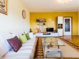 Apartment Palcic