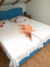 Apartments Dana